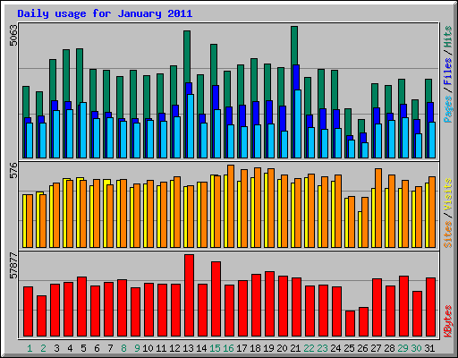 Daily usage for January 2011