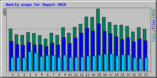 Hourly usage for August 2010