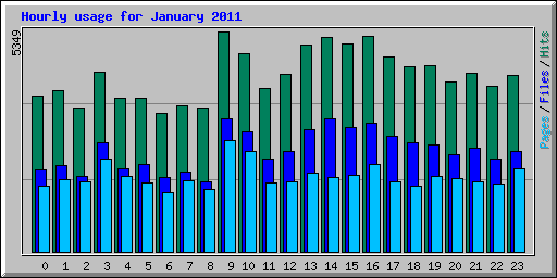 Hourly usage for January 2011